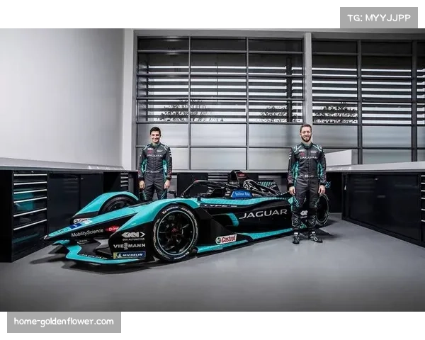 利雅得赛商业价值获认可 成为赛季重要组成部分